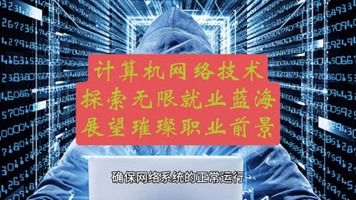 計算機網(wǎng)絡(luò)技術(shù) 探索無限就業(yè)藍海，展望璀璨職業(yè)前景