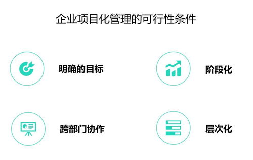 企業(yè)項(xiàng)目化管理成功落地的關(guān)鍵路徑與咨詢服務(wù)支撐